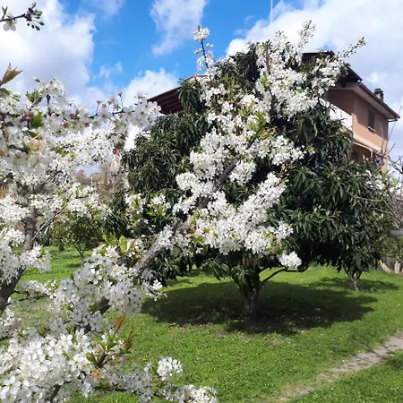 לינה וארוחת בוקר Il Giardino Di Gabri רומא