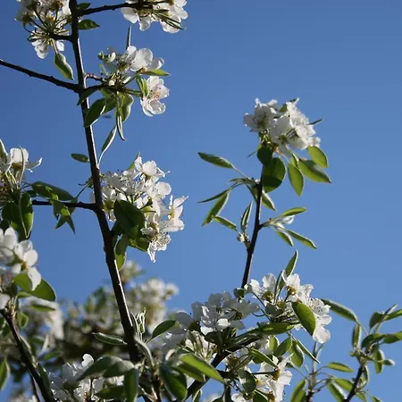 Il Giardino Di Gabri B&B 로마