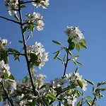 Il Giardino Di Gabri Couette-café Rome