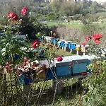 Il Giardino Di Gabri Couette-café