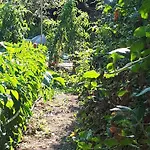 Il Giardino Di Gabri Couette-café