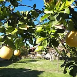 Il Giardino Di Gabri