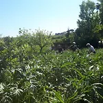 Couette-café Il Giardino Di Gabri Rome