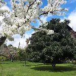 Il Giardino Di Gabri Rome
