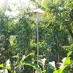 Il Giardino Di Gabri 4*