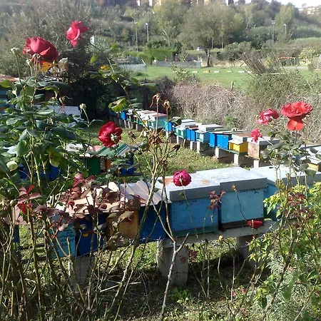 Il Giardino Di Gabri לינה וארוחת בוקר