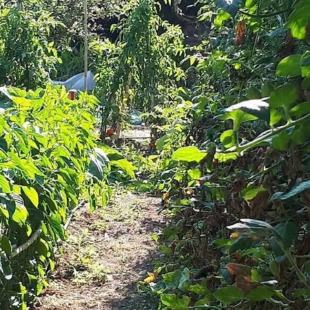 Il Giardino Di Gabri לינה וארוחת בוקר