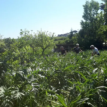 לינה וארוחת בוקר Il Giardino Di Gabri רומא