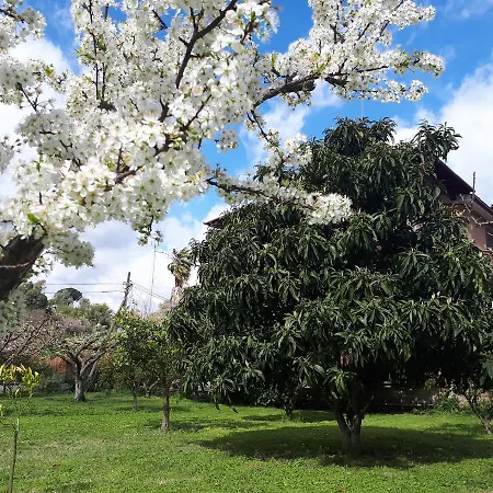Il Giardino Di Gabri רומא