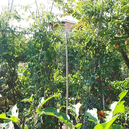 Il Giardino Di Gabri 4*